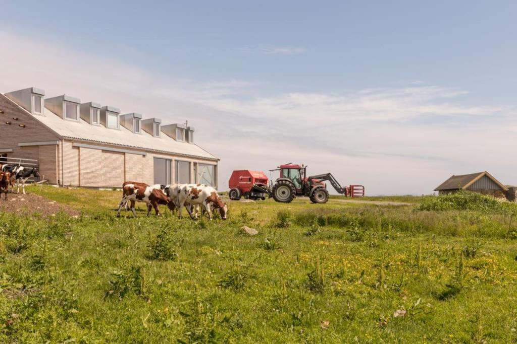 The Longhouse At Lista Farsund Exterior foto