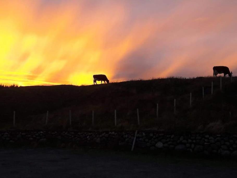 The Longhouse At Lista Farsund Exterior foto